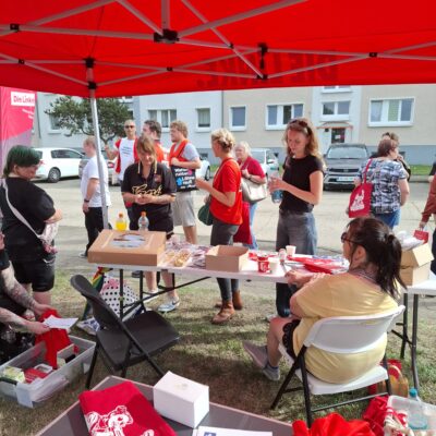 2026-08-28_genthin_wahlkampfhilfe_16