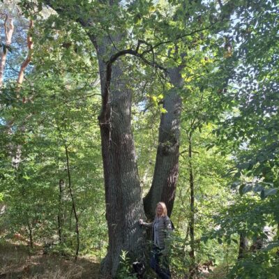 2026-09-23_rathenow_wanderung-wolzensee_02-400x400