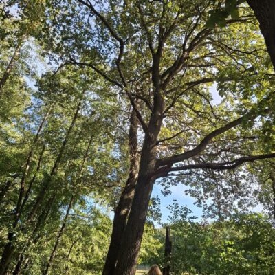 2026-09-23_rathenow_wanderung-wolzensee_14-400x400