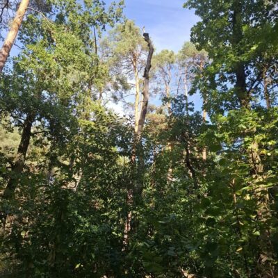 2026-09-23_rathenow_wanderung-wolzensee_15-400x400