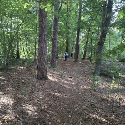 2026-09-23_rathenow_wanderung-wolzensee_17-400x400