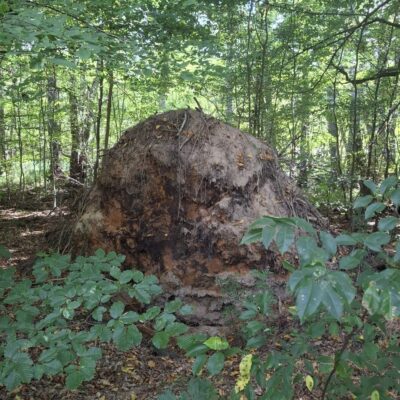 2026-09-23_rathenow_wanderung-wolzensee_22-400x400