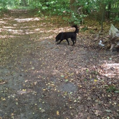 2026-09-23_rathenow_wanderung-wolzensee_24-400x400