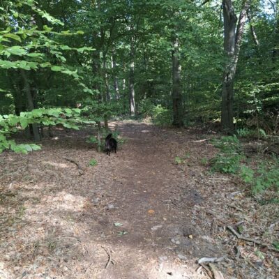 2026-09-23_rathenow_wanderung-wolzensee_25-400x400