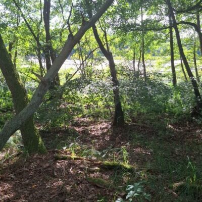 2026-09-23_rathenow_wanderung-wolzensee_26-400x400