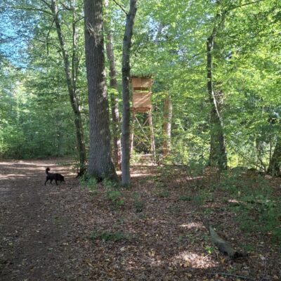2026-09-23_rathenow_wanderung-wolzensee_27-400x400