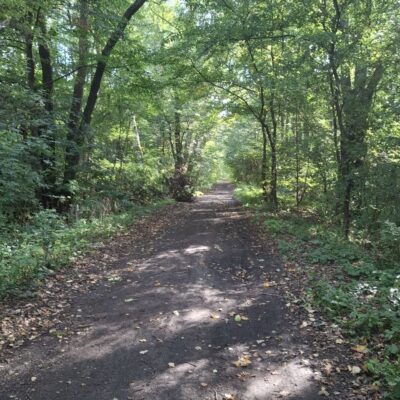 2026-09-23_rathenow_wanderung-wolzensee_29-400x400