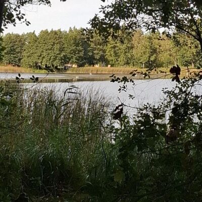 2026-09-23_rathenow_wanderung-wolzensee_31-400x400