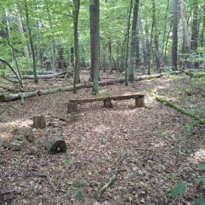 2026-09-23_rathenow_wanderung-wolzensee_32-400x400