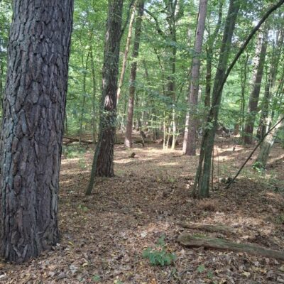 2026-09-23_rathenow_wanderung-wolzensee_33-400x400