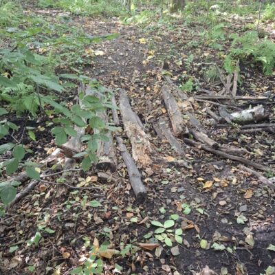 2026-09-23_rathenow_wanderung-wolzensee_35-400x400