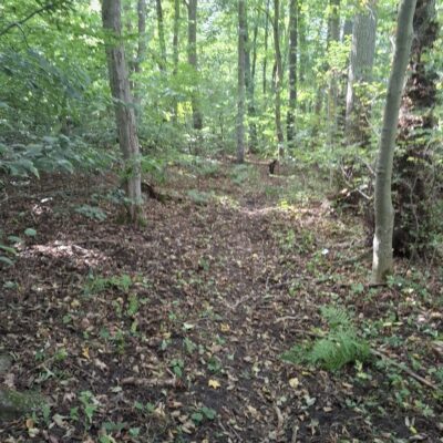2026-09-23_rathenow_wanderung-wolzensee_37-400x400