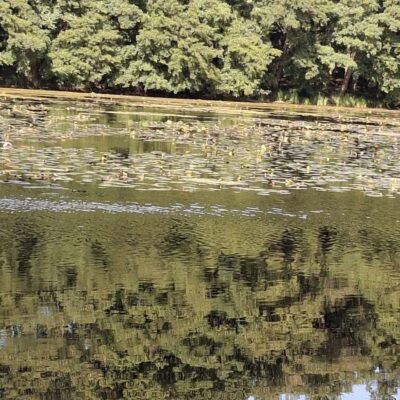 2026-09-23_rathenow_wanderung-wolzensee_39-400x400