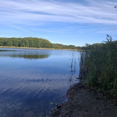2026-09-23_rathenow_wanderung-wolzensee_40-400x400