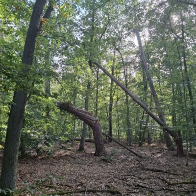 2026-09-23_rathenow_wanderung-wolzensee_44-400x400