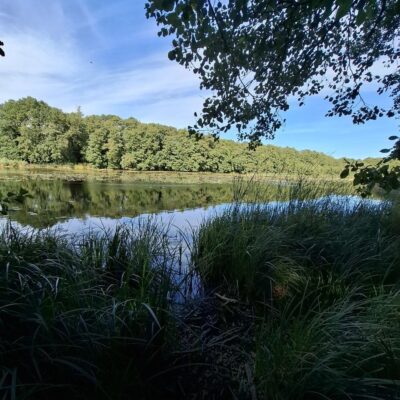 2026-09-23_rathenow_wanderung-wolzensee_48-400x400