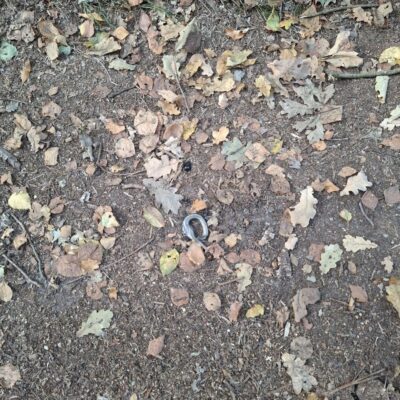 2026-09-23_rathenow_wanderung-wolzensee_49-400x400