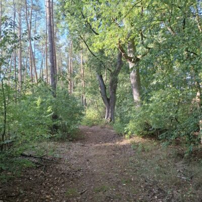 2026-09-23_rathenow_wanderung-wolzensee_51-400x400