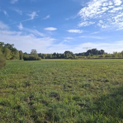 2026-09-23_rathenow_wanderung-wolzensee_54-400x400