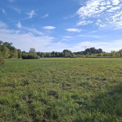 2026-09-23_rathenow_wanderung-wolzensee_55-400x400