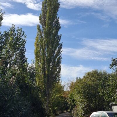 2026-09-23_rathenow_wanderung-wolzensee_57-400x400