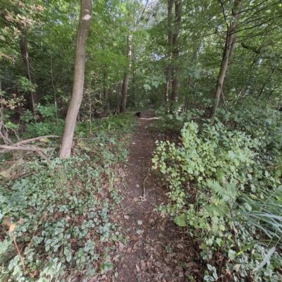 2026-09-23_rathenow_wanderung-wolzensee_59-400x400