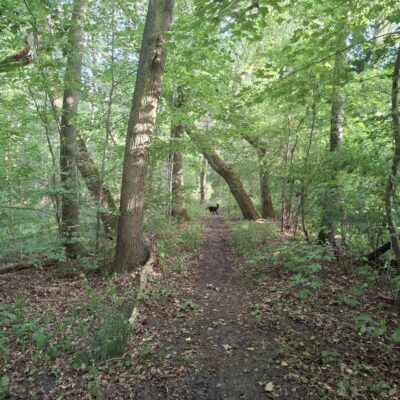2026-09-23_rathenow_wanderung-wolzensee_60-400x400