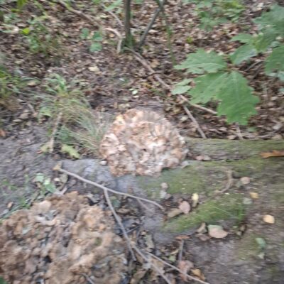 2026-09-23_rathenow_wanderung-wolzensee_62-400x400