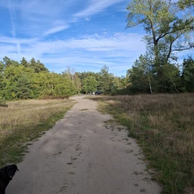 2026-09-23_rathenow_wanderung-wolzensee_64-400x400