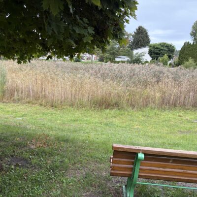 2026-09-25_swg-gruenefeld_see-teich_4